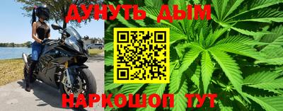 гашик Бузулук